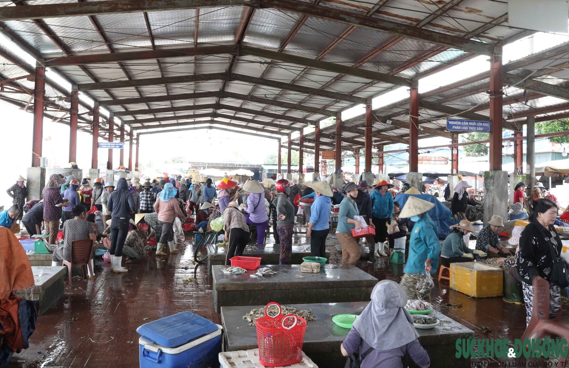 Bất chấp cảnh báo, người dân ven biển vẫn bày bán tràn lan loại cá chứa độc tố cực mạnh- Ảnh 11.