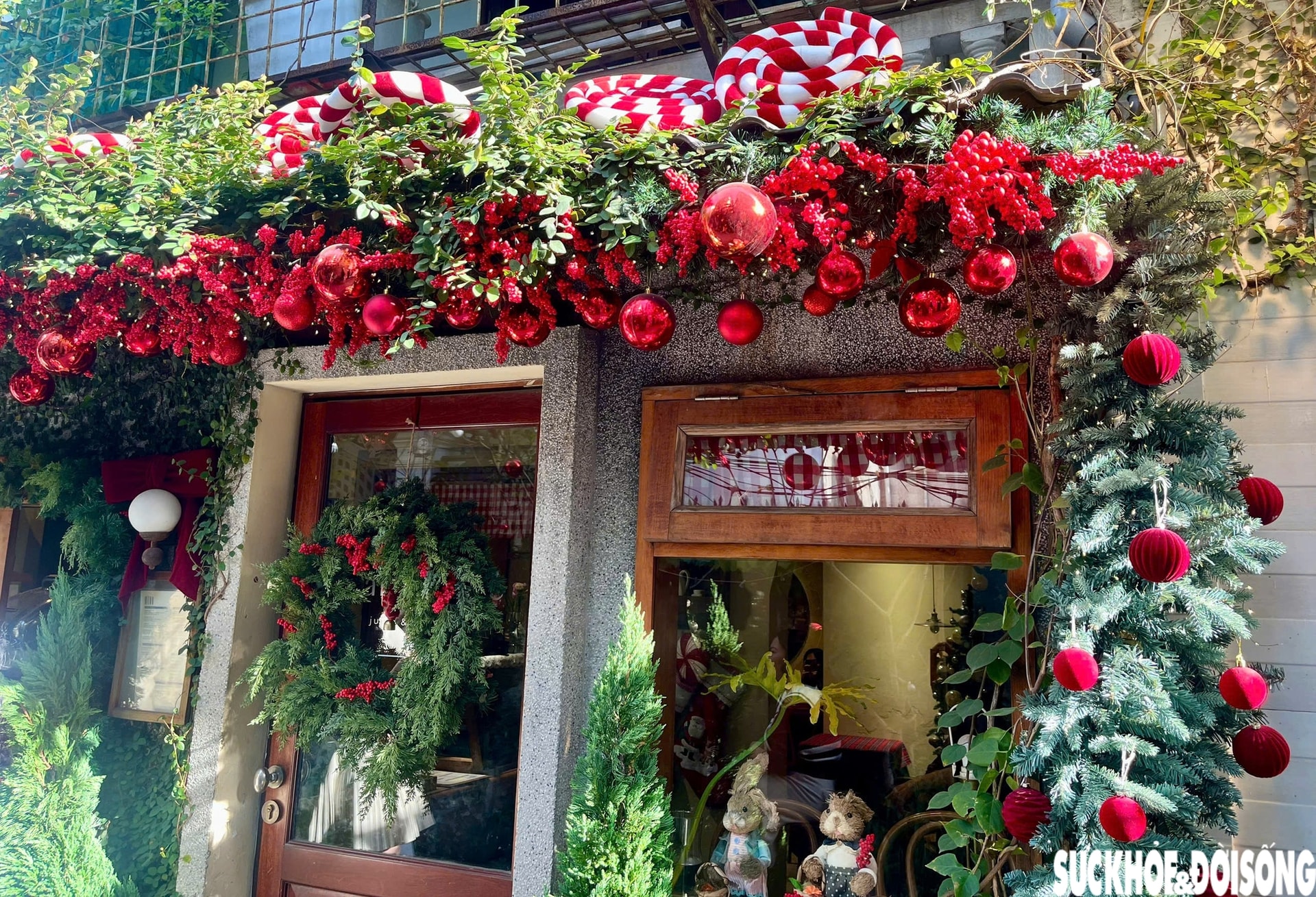 Ngõ nhỏ ở Hà Nội 'hút' giới trẻ trước mùa Giáng sinh- Ảnh 3.