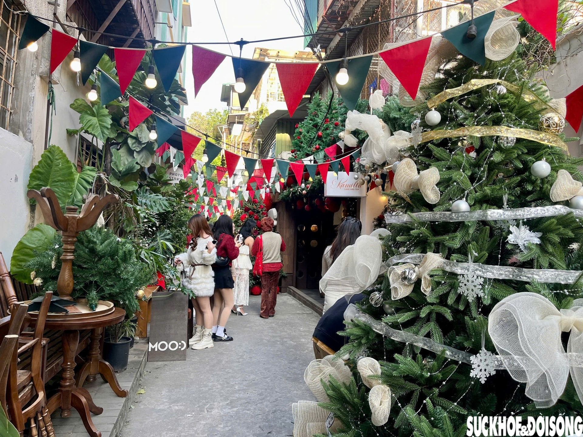 Ngõ nhỏ ở Hà Nội 'hút' giới trẻ trước mùa Giáng sinh- Ảnh 13.