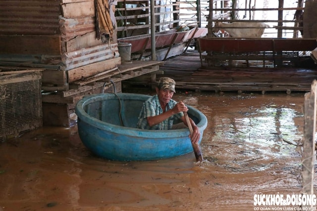Nông dân Khánh Hòa kiệt quệ khi nho, táo, dê chết hàng loạt sau mưa lũ- Ảnh 4.