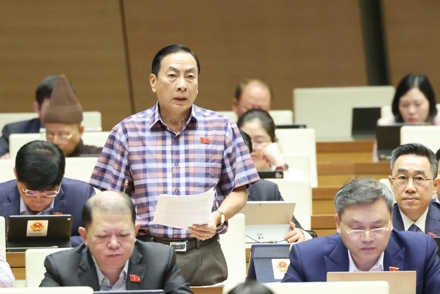 ĐBQH nêu 4 lý do cấm đầu tư kinh doanh thuốc lá điện tử, thuốc lá nung nóng- Ảnh 1.