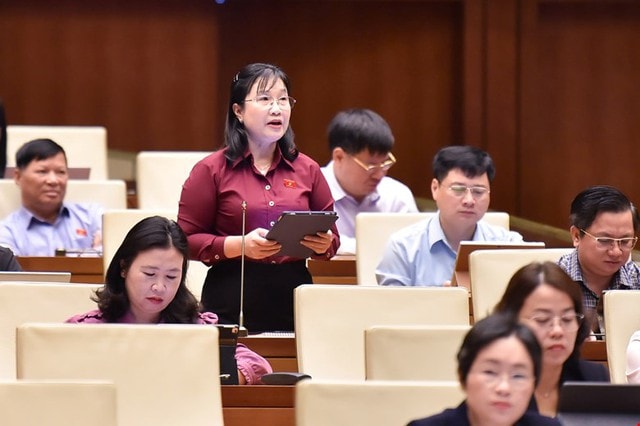 ĐBQH nêu 4 lý do cấm đầu tư kinh doanh thuốc lá điện tử, thuốc lá nung nóng- Ảnh 2.