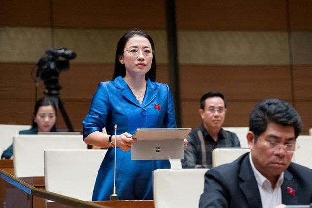 Con dùng AI chẩn đoán bệnh khiến mẹ nhập viện, ĐBQH đề nghị siết quản lý- Ảnh 2.