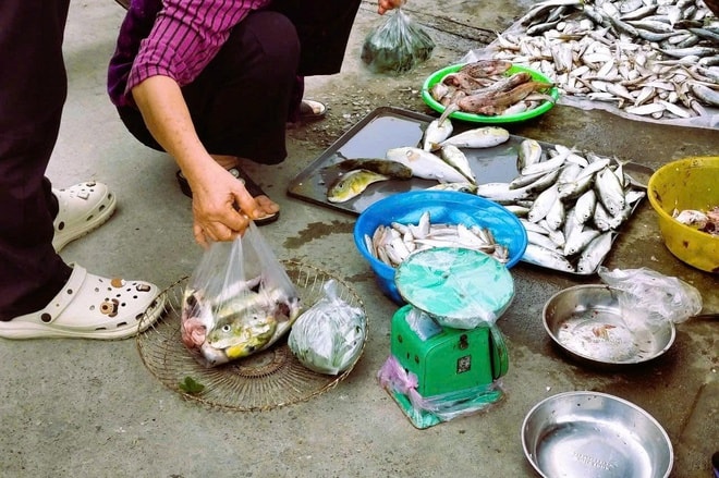 Bất chấp cảnh báo, người dân ven biển vẫn bày bán tràn lan loại cá chứa độc tố cực mạnh- Ảnh 8.