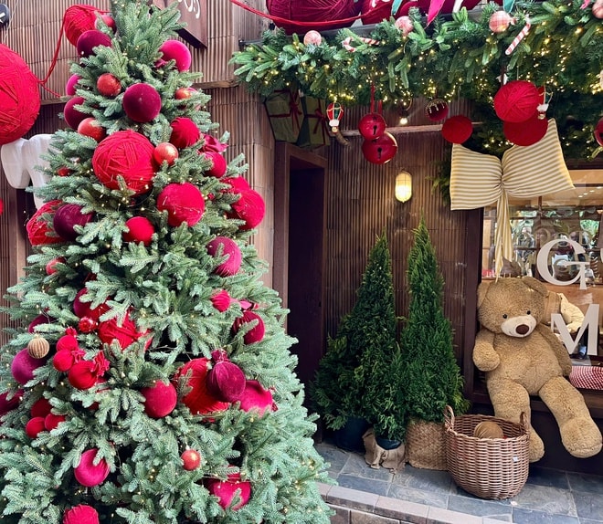 Ngõ nhỏ ở Hà Nội 'hút' giới trẻ trước mùa Giáng sinh- Ảnh 4.