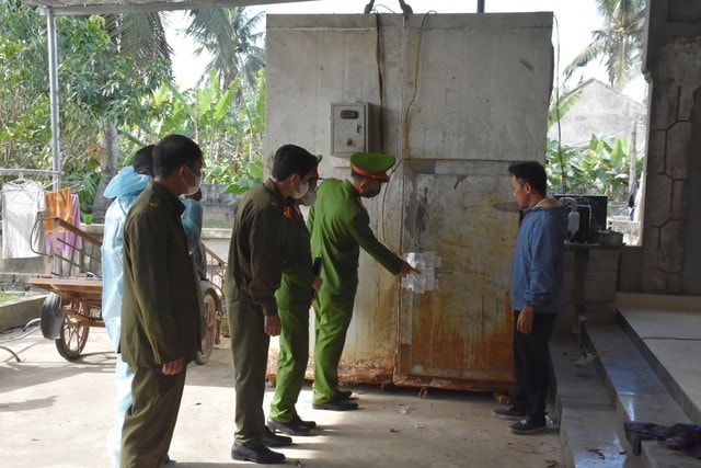 Tiêu hủy hơn 5 tạ lợn nhiễm dịch tả lợn châu Phi- Ảnh 1. Tiêu hủy hơn 5 tạ lợn nhiễm dịch tả lợn châu Phi- Ảnh 1.