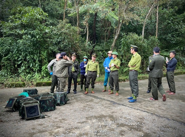 Hành trình ‘trở về nhà’ của những động vật quý hiếm có nguy cơ tuyệt chủng- Ảnh 1.
