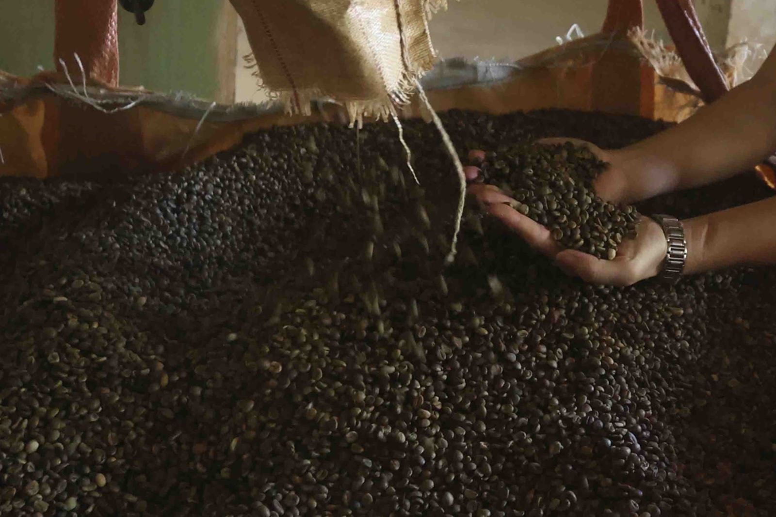 Nhu cầu gạo từ thị trường châu Á giảm, doanh nghiệp tích cực chuyển hướng thị trường- Ảnh 4.