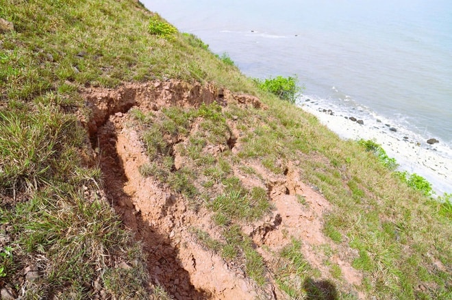 Nguy cơ sạt lở vách núi Mộ Dạ, đe doạ tuyến đường ven biển Nghệ An- Ảnh 9.