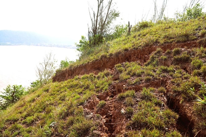 Nguy cơ sạt lở vách núi Mộ Dạ, đe doạ tuyến đường ven biển Nghệ An- Ảnh 10.