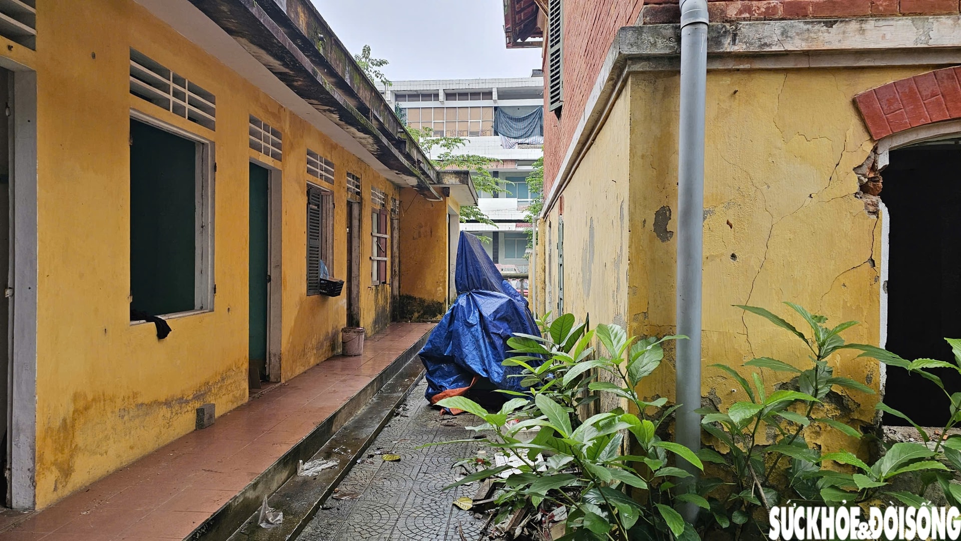 Cận cảnh biệt thự Pháp trăm năm tuổi ở Huế- Ảnh 5.