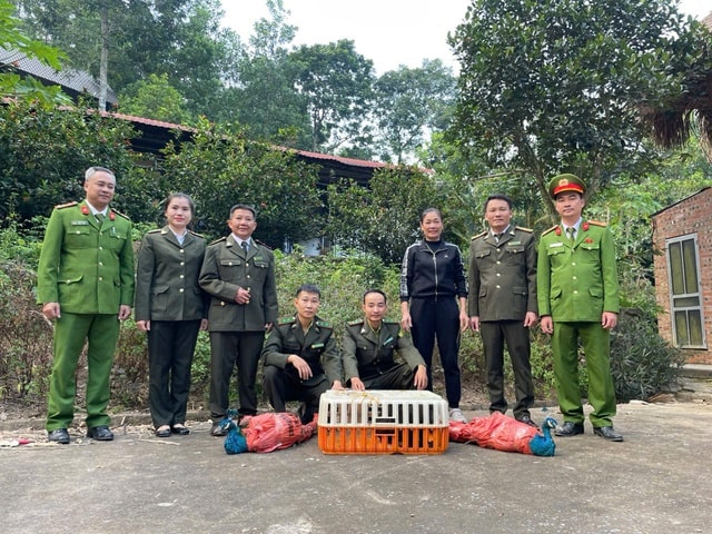 Phát hiện loài công nguy cấp, quý hiếm tại Thác Đồng Quan- Ảnh 1. Phát hiện loài công nguy cấp, quý hiếm tại Thác Đồng Quan- Ảnh 1.