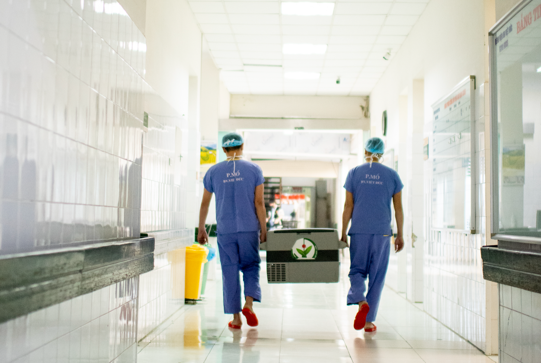 3 người chết não hiến tạng giúp 14 cuộc đời được hồi sinh, trong đó có bệnh nhi 8 tháng tuổi- Ảnh 1. 3 người chết não hiến tạng giúp 14 cuộc đời được hồi sinh, trong đó có bệnh nhi 8 tháng tuổi- Ảnh 1.