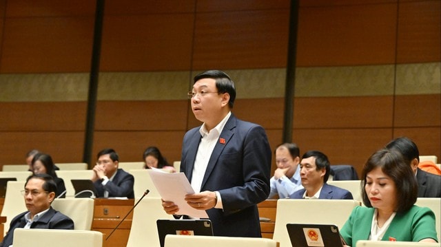 Đại biểu Quốc hội 'hiến kế' kéo dài tuổi thọ nam giới - Ảnh 3.