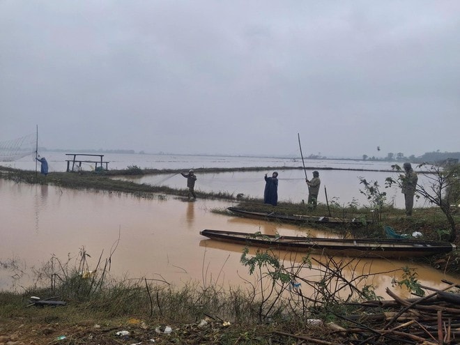 Tiêu hủy hơn 15.000m lưới bẫy chim trời ở Huế- Ảnh 4.