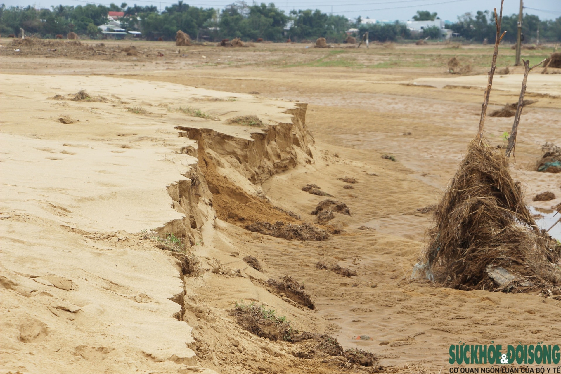 Đà Nẵng khẩn trương xử lý đất, cát bồi lấp sau đợt lũ lịch sử- Ảnh 7. Đà Nẵng khẩn trương xử lý đất, cát bồi lấp sau đợt lũ lịch sử- Ảnh 7.