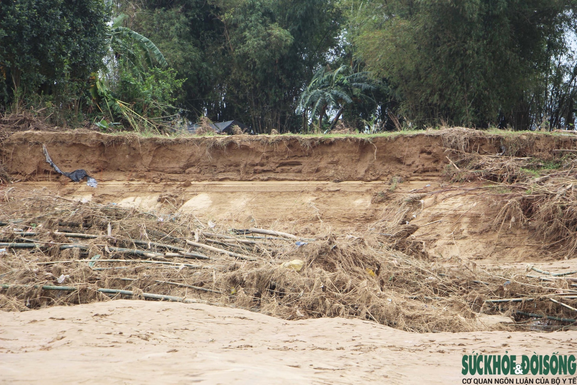 Đà Nẵng khẩn trương xử lý đất, cát bồi lấp sau đợt lũ lịch sử- Ảnh 9. Đà Nẵng khẩn trương xử lý đất, cát bồi lấp sau đợt lũ lịch sử- Ảnh 9.