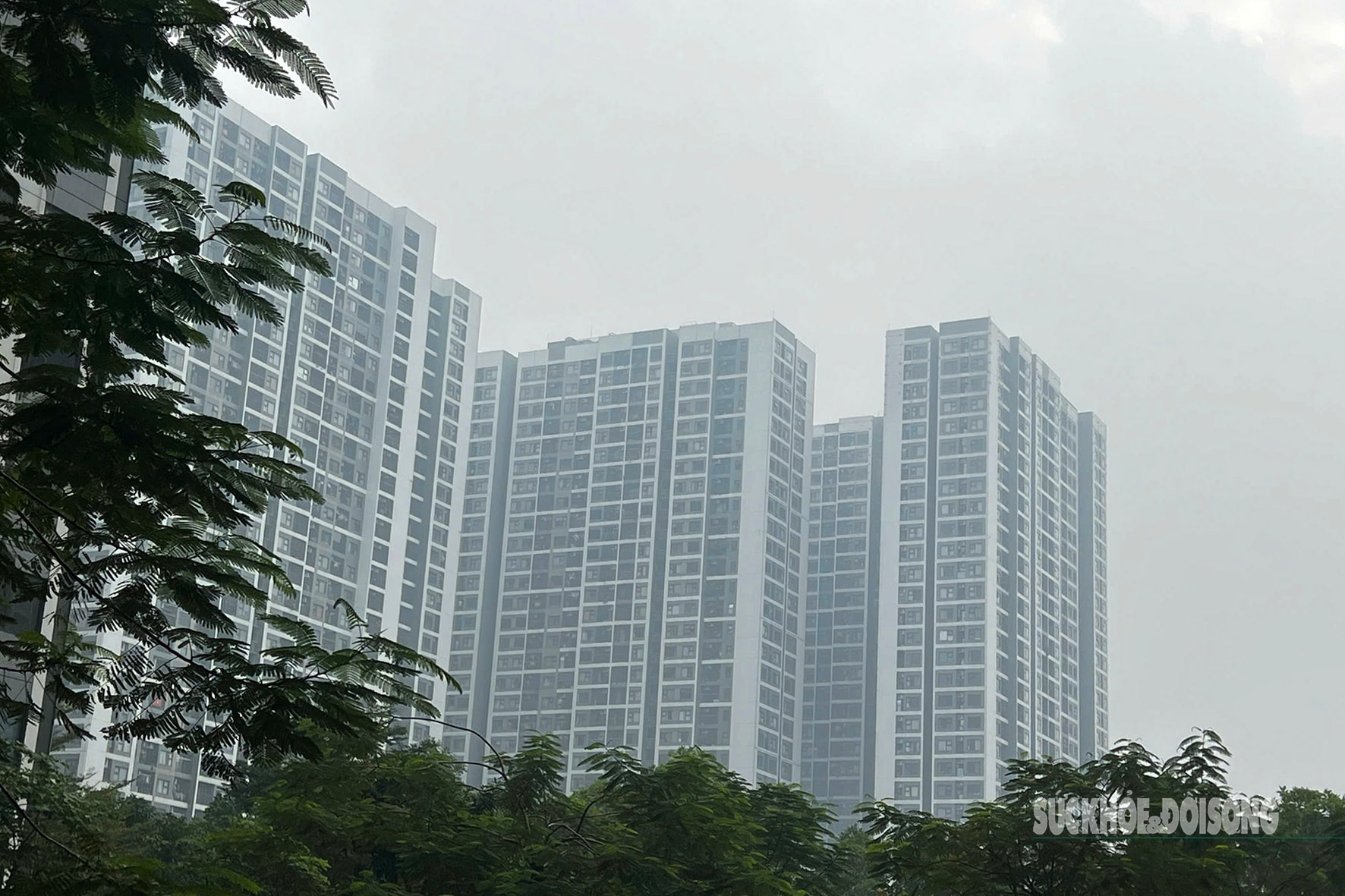 Tòa nhà cao tầng 'biến mất' sau lớp mù dày đặc- Ảnh 4.