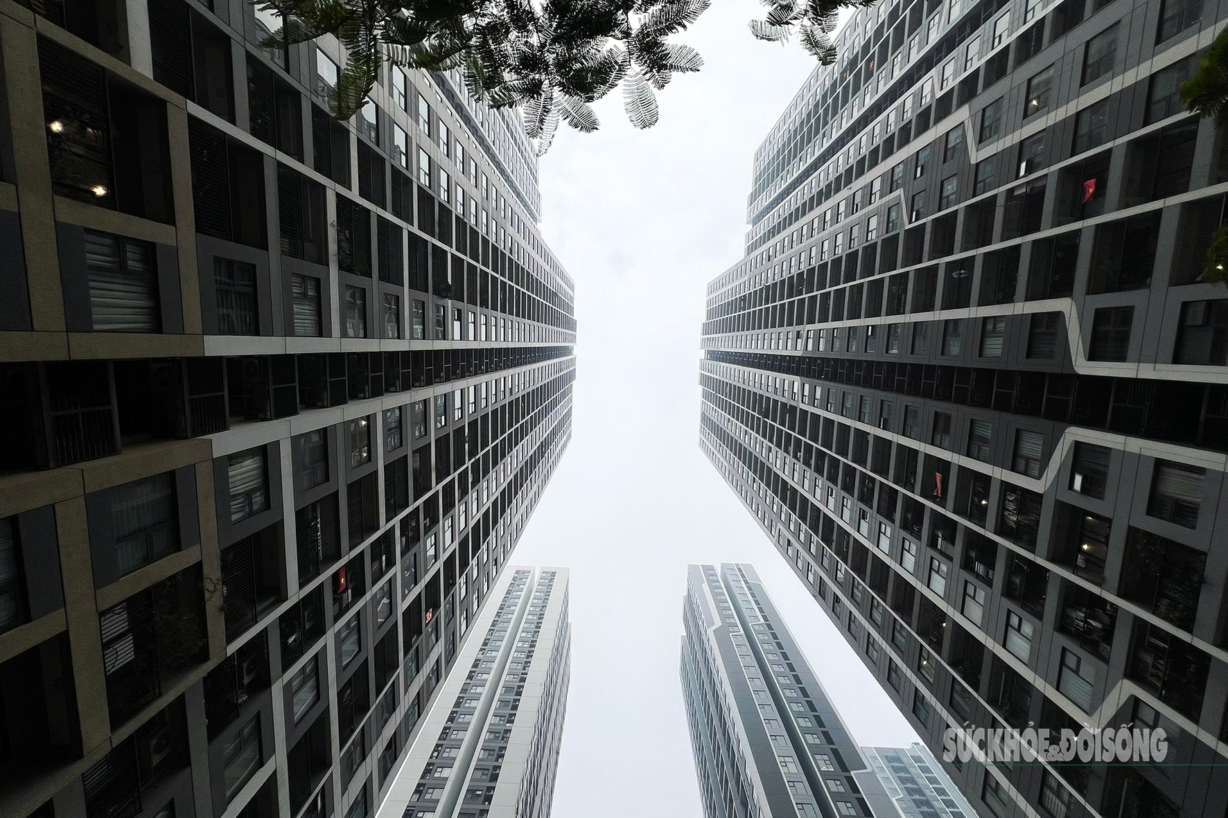 Tòa nhà cao tầng 'biến mất' sau lớp mù dày đặc- Ảnh 5.