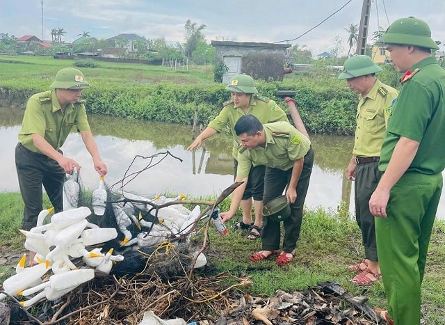 Nghệ An đồng loạt truy quét, chặn đứng nạn tận diệt chim hoang dã- Ảnh 1.