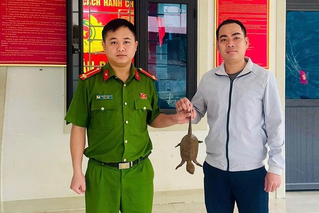 Người dân miền Tây Nghệ An liên tiếp giao nộp động vật hoang dã quý hiếm- Ảnh 1.