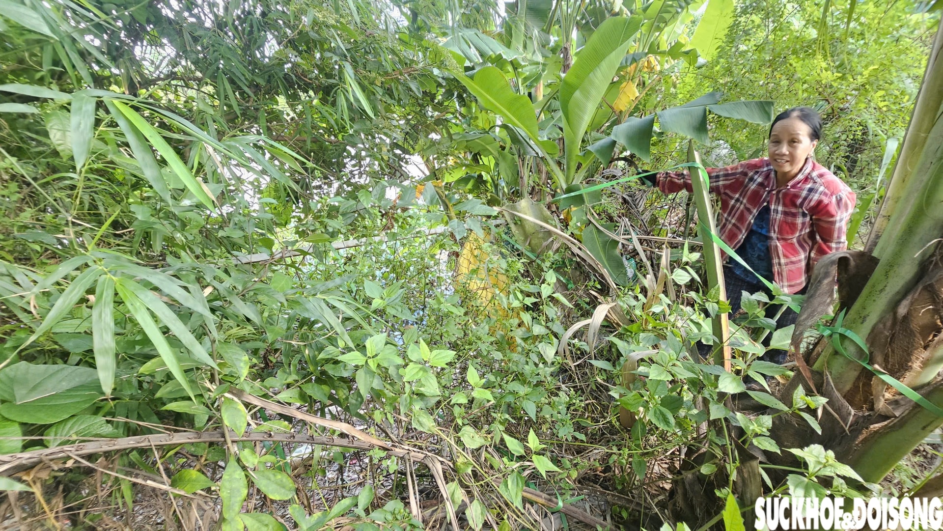 Bờ sông sạt lở nghiêm trọng uy hiếp nhà cửa, đất sản xuất của người dân sau mưa bão- Ảnh 6.