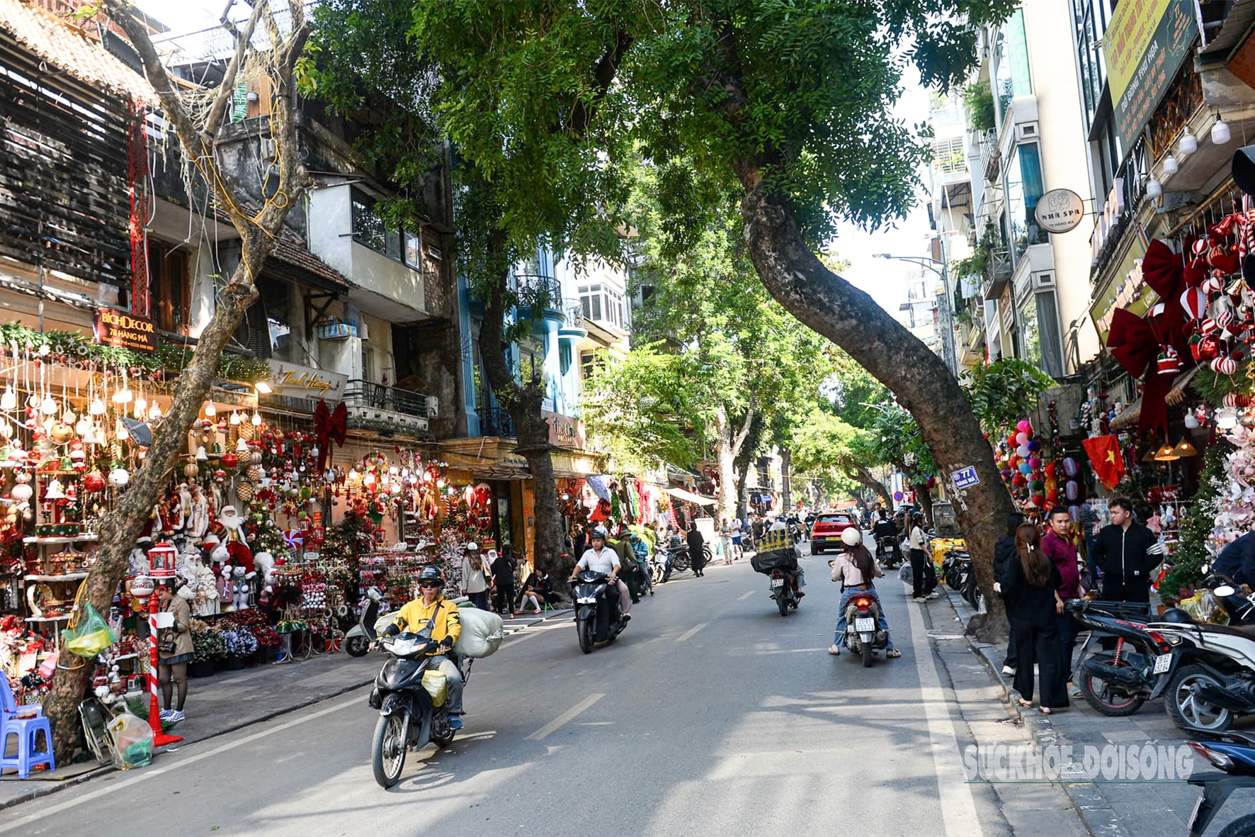 Phố Hàng Mã gọn gàng, thông thoáng dịp Noel- Ảnh 1. Phố Hàng Mã gọn gàng, thông thoáng dịp Noel- Ảnh 1.