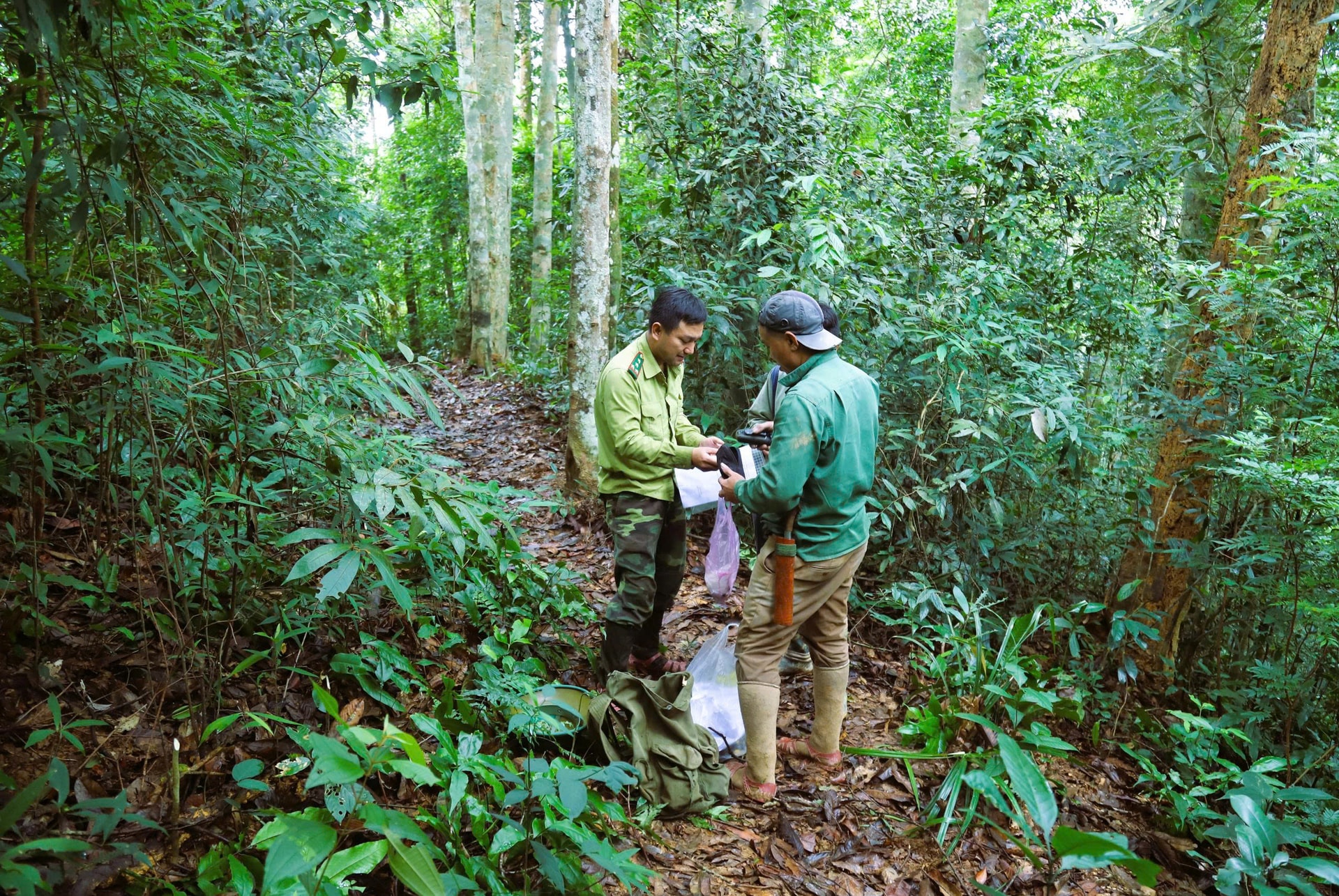Lắp đặt hơn 60 bẫy ảnh giám sát động vật quý hiếm ở Khu bảo tồn thiên nhiên Pù Huống- Ảnh 9. Lắp đặt hơn 60 bẫy ảnh giám sát động vật quý hiếm ở Khu bảo tồn thiên nhiên Pù Huống- Ảnh 9.