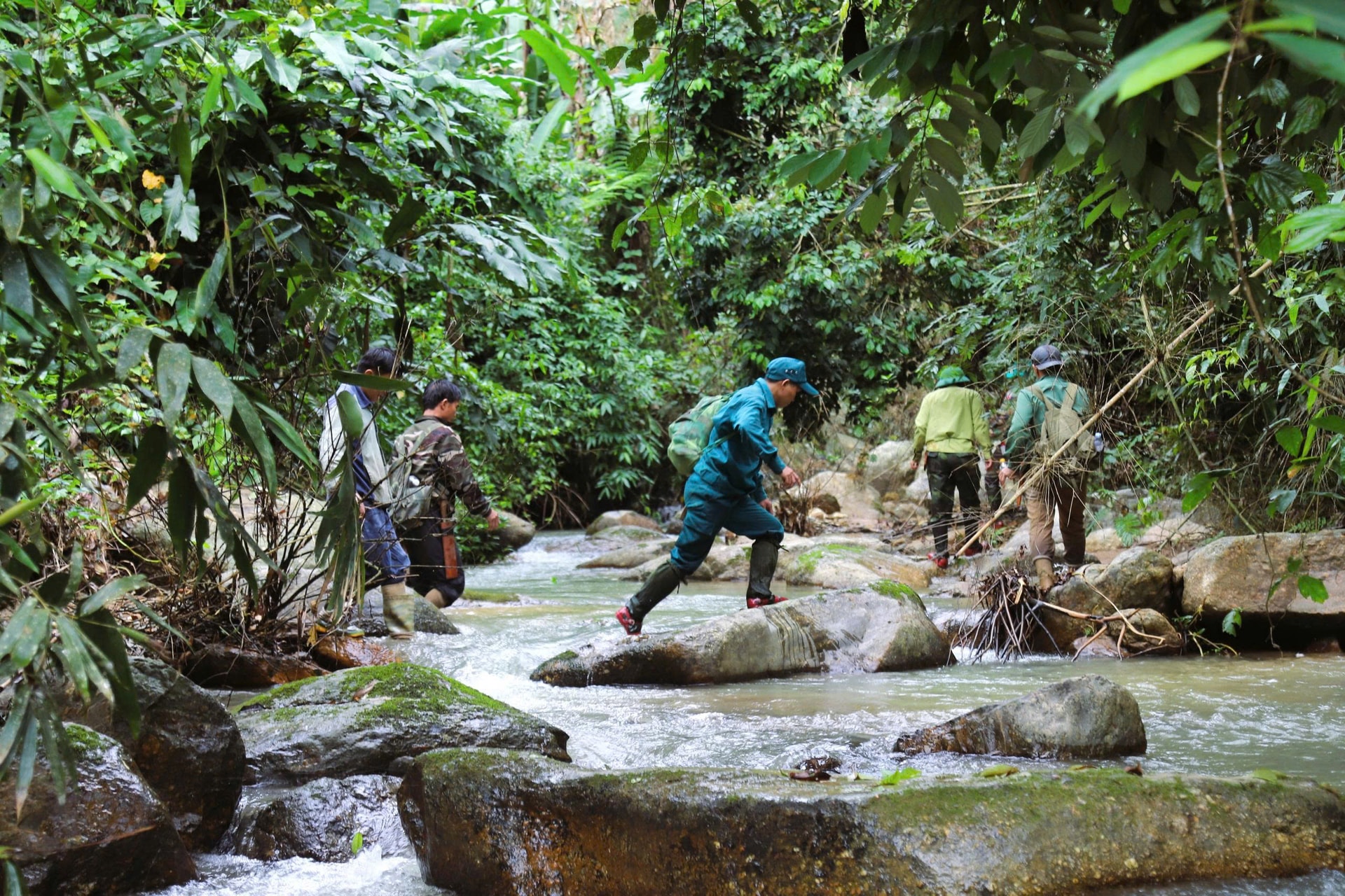 Lắp đặt hơn 60 bẫy ảnh giám sát động vật quý hiếm ở Khu bảo tồn thiên nhiên Pù Huống- Ảnh 4. Lắp đặt hơn 60 bẫy ảnh giám sát động vật quý hiếm ở Khu bảo tồn thiên nhiên Pù Huống- Ảnh 4.