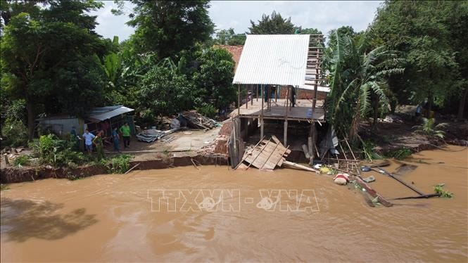 Đồng Tháp công bố tình huống khẩn cấp sạt lở bờ sông Tiền- Ảnh 1.