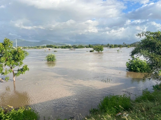 Hồ Lòng Sông xả lũ, hơn 1.000 căn nhà ở Lâm Đồng bị ngập sâu- Ảnh 2.
