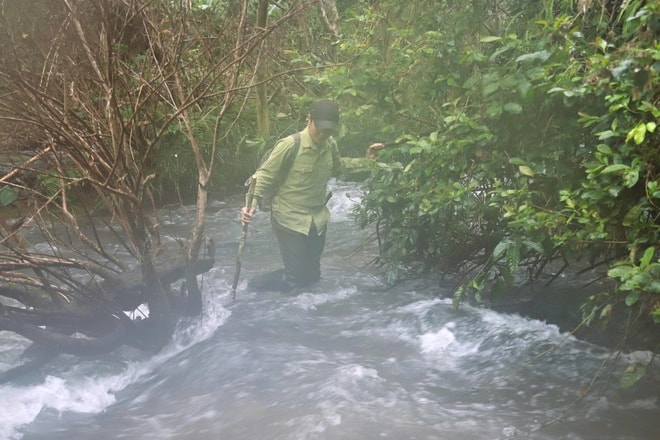 Lắp đặt hơn 60 bẫy ảnh giám sát động vật quý hiếm ở Khu bảo tồn thiên nhiên Pù Huống- Ảnh 5. Lắp đặt hơn 60 bẫy ảnh giám sát động vật quý hiếm ở Khu bảo tồn thiên nhiên Pù Huống- Ảnh 5.