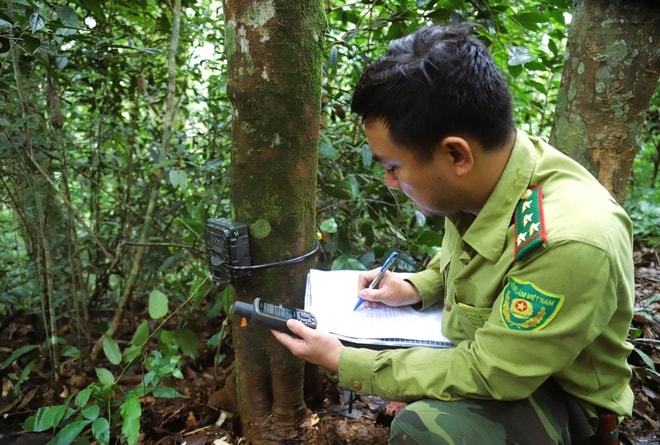 Lắp đặt hơn 60 bẫy ảnh giám sát động vật quý hiếm ở Khu bảo tồn thiên nhiên Pù Huống- Ảnh 11. Lắp đặt hơn 60 bẫy ảnh giám sát động vật quý hiếm ở Khu bảo tồn thiên nhiên Pù Huống- Ảnh 11.