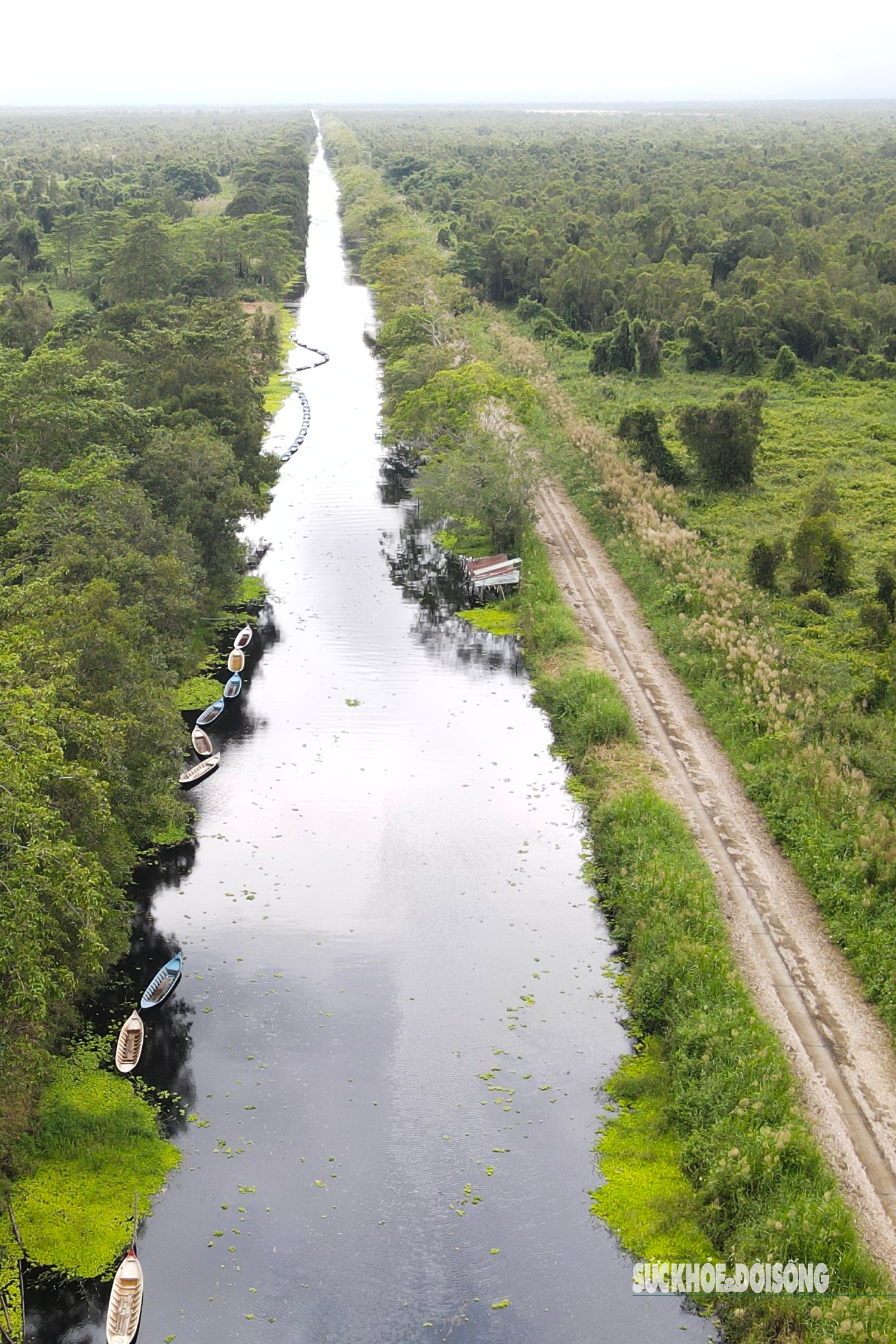 Vẻ đẹp nguyên sơ của 'ốc đảo sinh quyển' U Minh Thượng- Ảnh 2.