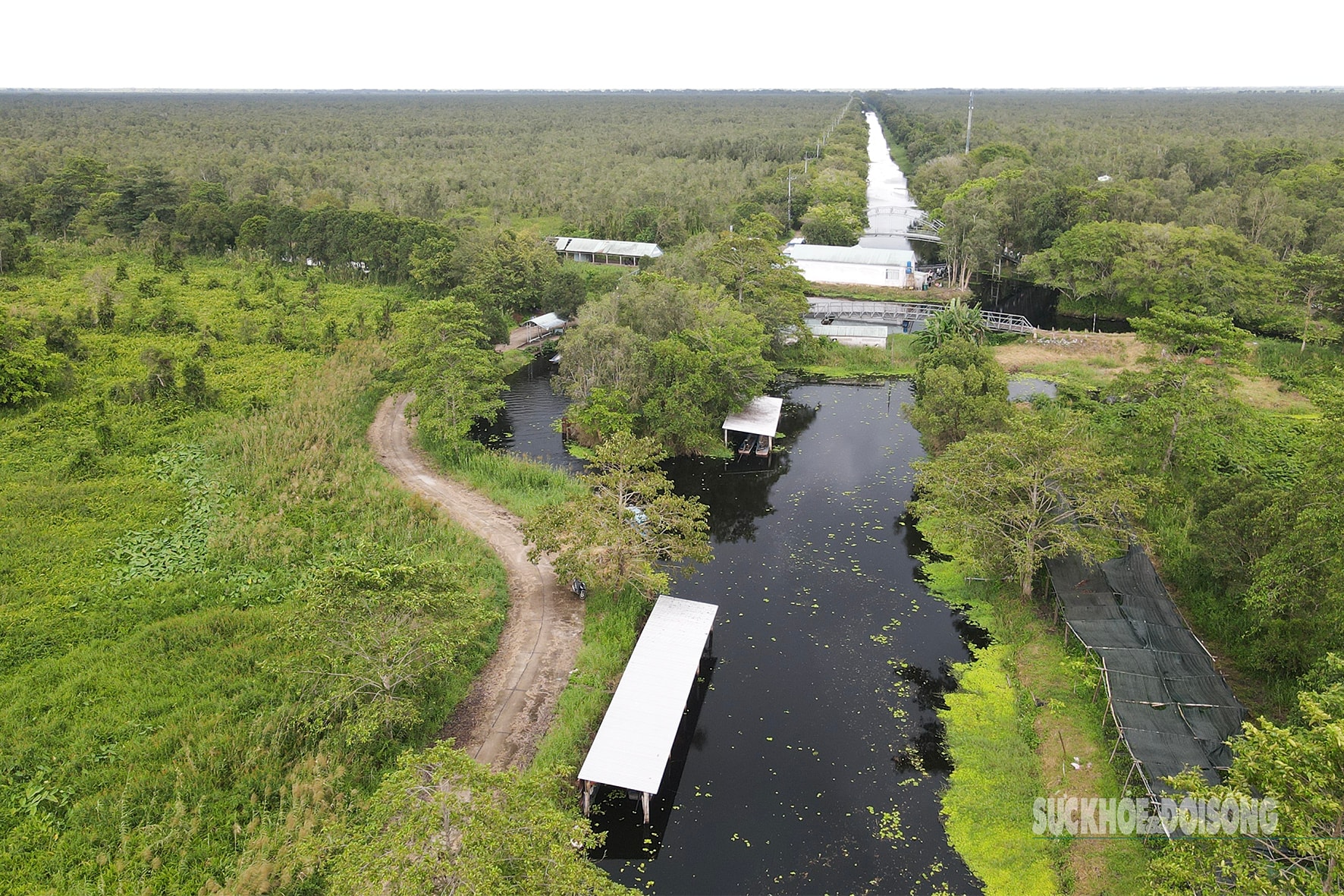 Vẻ đẹp nguyên sơ của 'ốc đảo sinh quyển' U Minh Thượng- Ảnh 6.