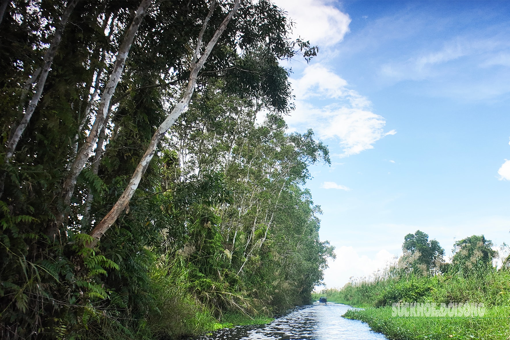 Vẻ đẹp nguyên sơ của 'ốc đảo sinh quyển' U Minh Thượng- Ảnh 9.