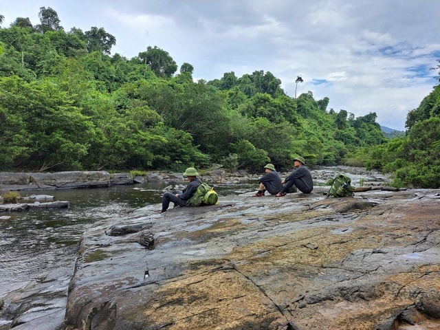 Những hiểm nguy trong hành trình bảo vệ động vật hoang dã quý hiếm- Ảnh 11. Những hiểm nguy trong hành trình bảo vệ động vật hoang dã quý hiếm- Ảnh 11.