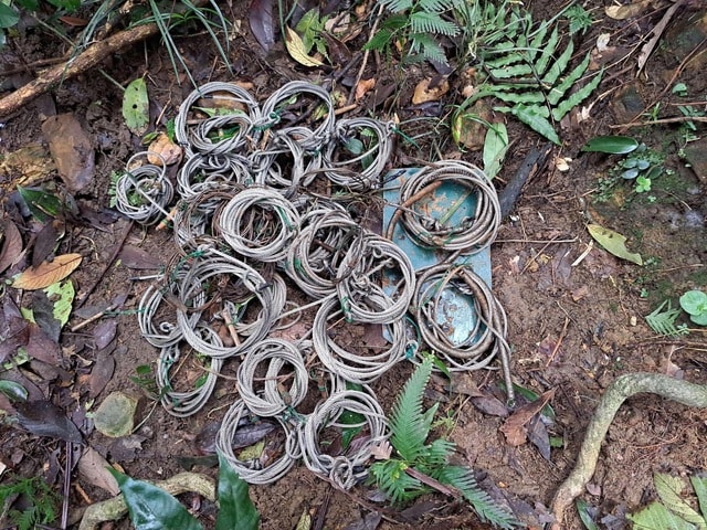 Những hiểm nguy trong hành trình bảo vệ động vật hoang dã quý hiếm- Ảnh 12. Những hiểm nguy trong hành trình bảo vệ động vật hoang dã quý hiếm- Ảnh 12.