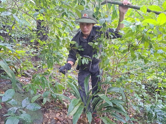 Những hiểm nguy trong hành trình bảo vệ động vật hoang dã quý hiếm- Ảnh 8. Những hiểm nguy trong hành trình bảo vệ động vật hoang dã quý hiếm- Ảnh 8.