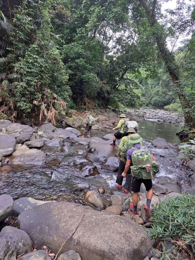 Những hiểm nguy trong hành trình bảo vệ động vật hoang dã quý hiếm- Ảnh 3. Những hiểm nguy trong hành trình bảo vệ động vật hoang dã quý hiếm- Ảnh 3.