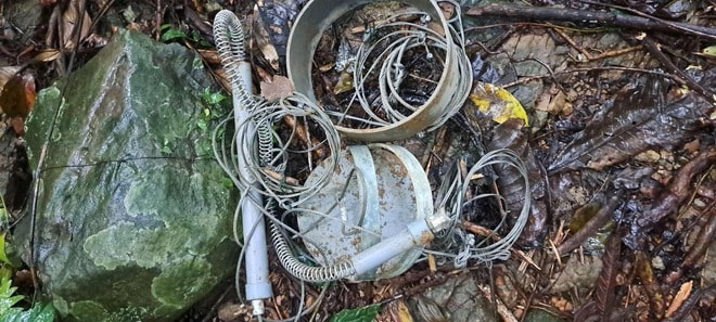 Những hiểm nguy trong hành trình bảo vệ động vật hoang dã quý hiếm- Ảnh 6. Những hiểm nguy trong hành trình bảo vệ động vật hoang dã quý hiếm- Ảnh 6.