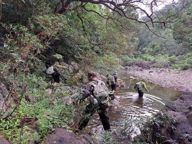 Những hiểm nguy trong hành trình bảo vệ động vật hoang dã quý hiếm- Ảnh 4. Những hiểm nguy trong hành trình bảo vệ động vật hoang dã quý hiếm- Ảnh 4.
