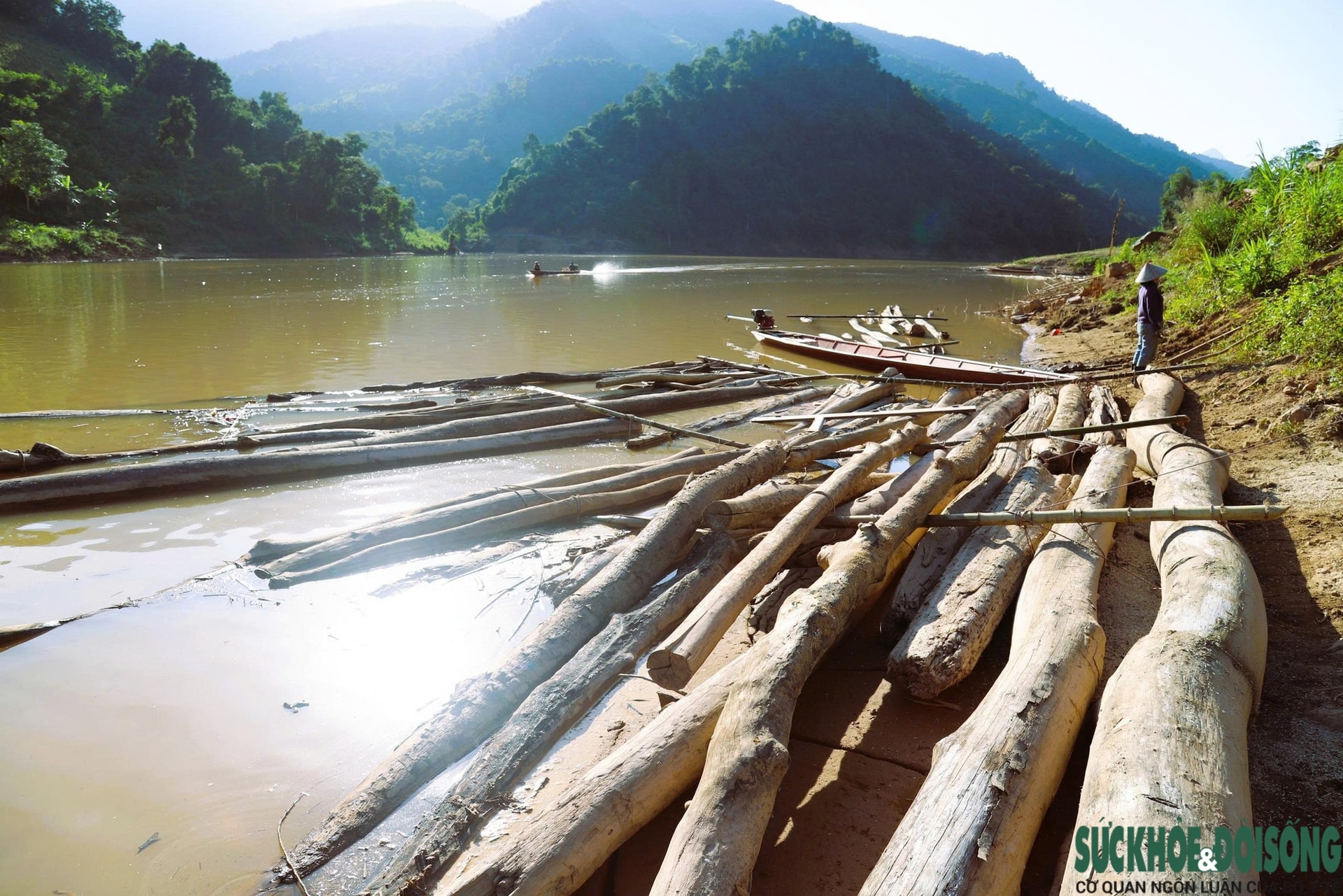 Hiểm nguy từ những chuyến 'săn gỗ' trên sông Nậm Nơn- Ảnh 4. Hiểm nguy từ những chuyến 'săn gỗ' trên sông Nậm Nơn- Ảnh 4.