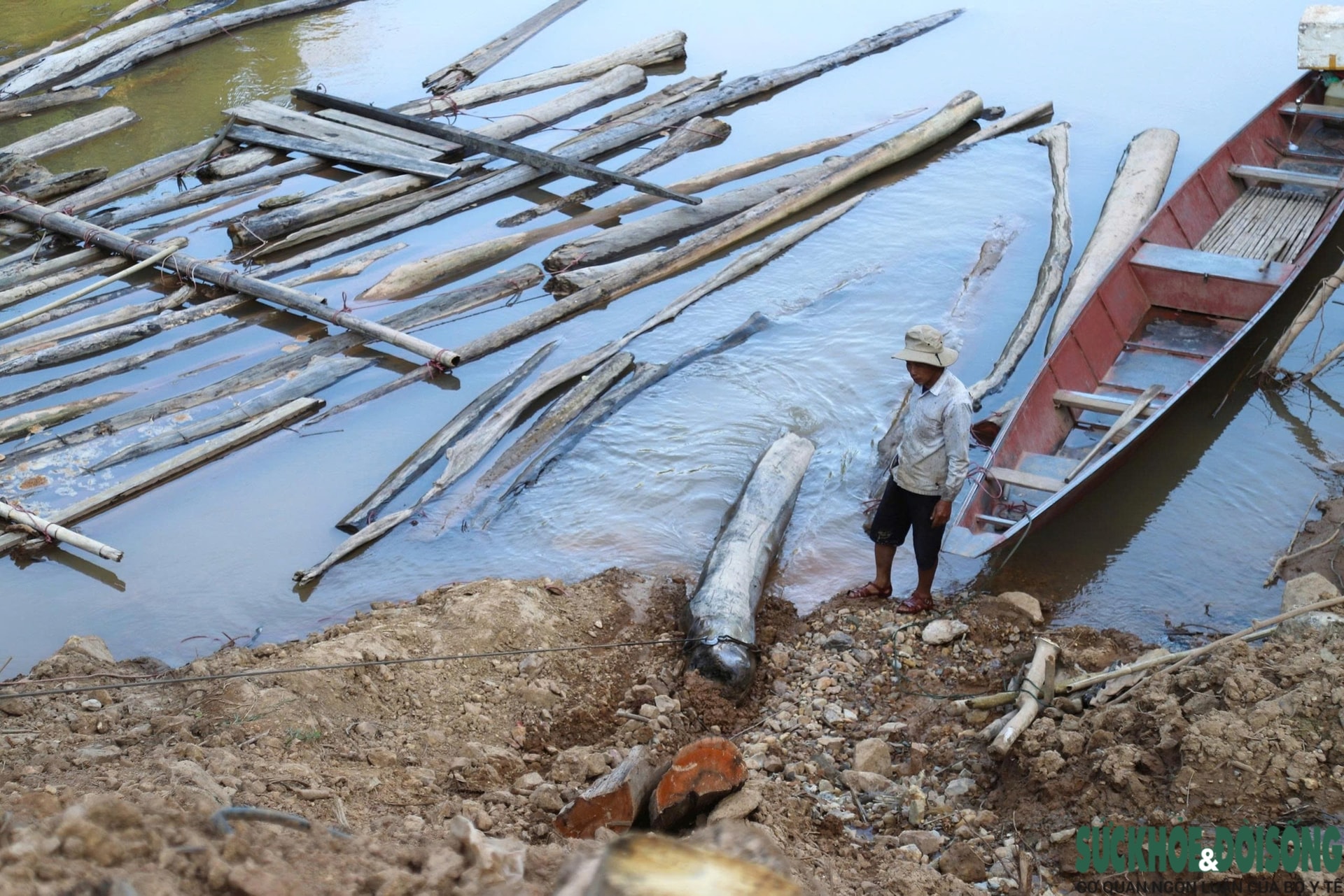 Hiểm nguy từ những chuyến 'săn gỗ' trên sông Nậm Nơn- Ảnh 12. Hiểm nguy từ những chuyến 'săn gỗ' trên sông Nậm Nơn- Ảnh 12.