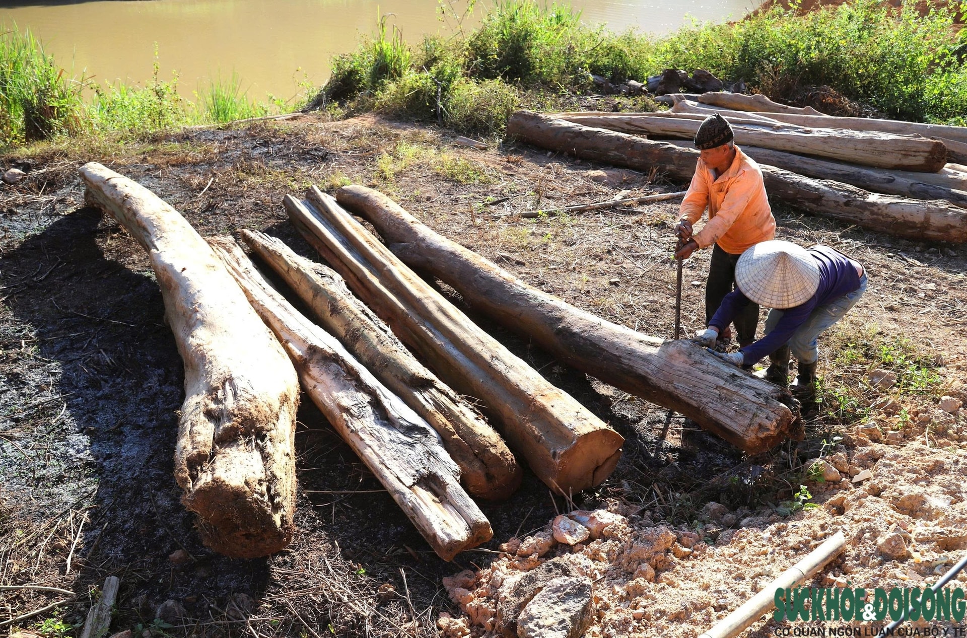 Hiểm nguy từ những chuyến 'săn gỗ' trên sông Nậm Nơn- Ảnh 13. Hiểm nguy từ những chuyến 'săn gỗ' trên sông Nậm Nơn- Ảnh 13.