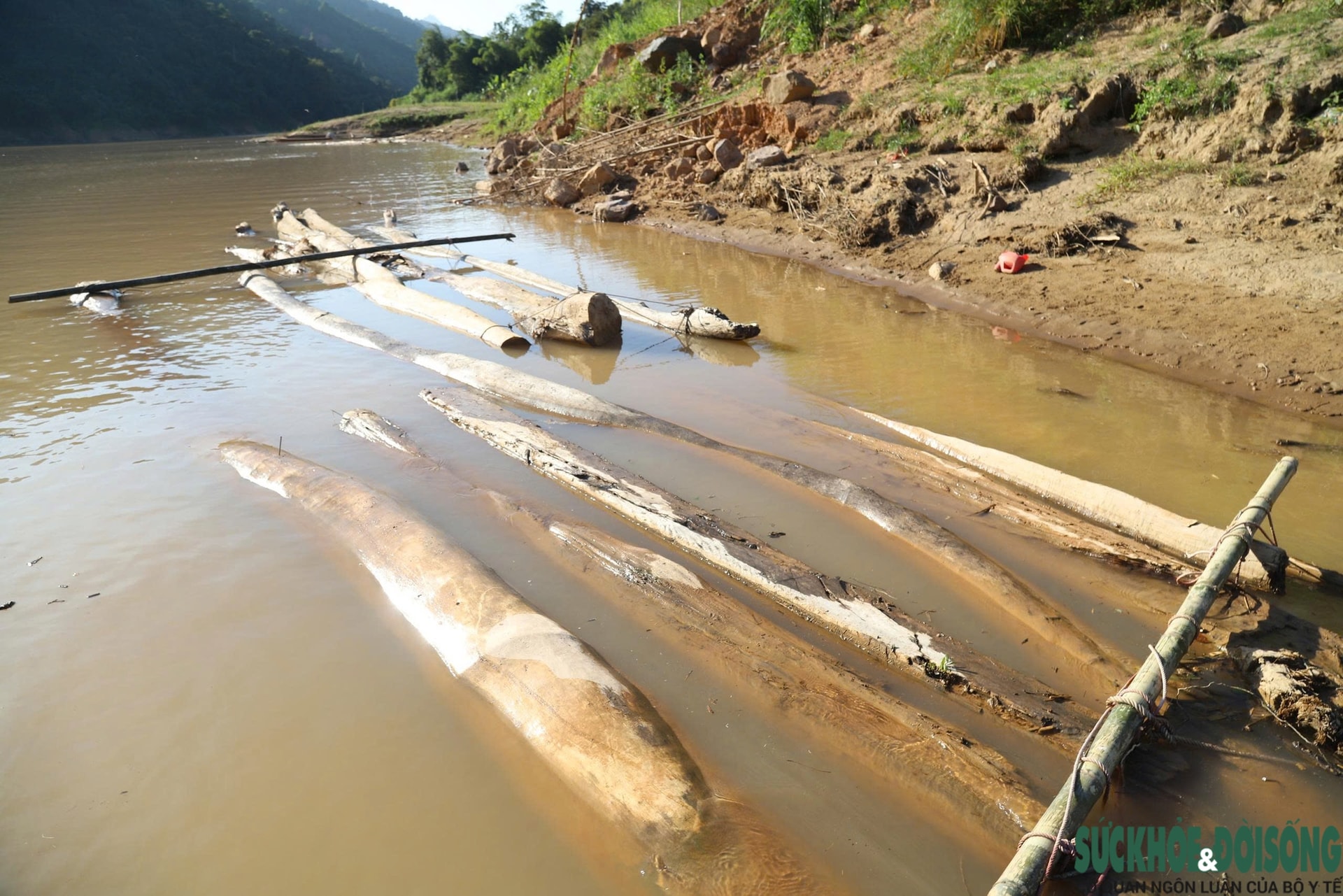 Hiểm nguy từ những chuyến 'săn gỗ' trên sông Nậm Nơn- Ảnh 14. Hiểm nguy từ những chuyến 'săn gỗ' trên sông Nậm Nơn- Ảnh 14.