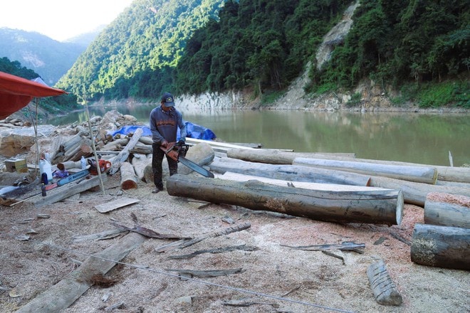 Hiểm nguy từ những chuyến 'săn gỗ' trên sông Nậm Nơn- Ảnh 9. Hiểm nguy từ những chuyến 'săn gỗ' trên sông Nậm Nơn- Ảnh 9.