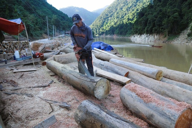 Hiểm nguy từ những chuyến 'săn gỗ' trên sông Nậm Nơn- Ảnh 10. Hiểm nguy từ những chuyến 'săn gỗ' trên sông Nậm Nơn- Ảnh 10.