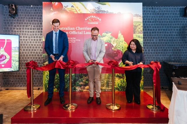 Cherry Úc khởi động mùa vụ mới với hành trình đưa Cherry tươi từ Úc đến Việt Nam chỉ trong 72 giờ- Ảnh 1. Cherry Úc khởi động mùa vụ mới với hành trình đưa Cherry tươi từ Úc đến Việt Nam chỉ trong 72 giờ- Ảnh 1.
