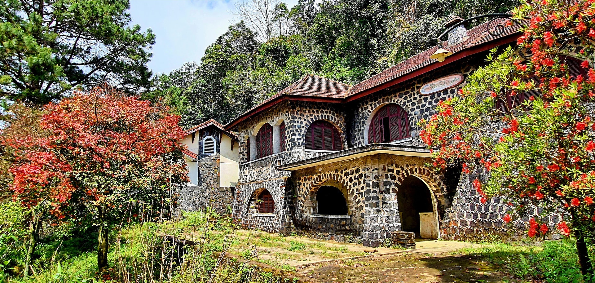 Khám phá Vườn di sản ASEAN, 'mái nhà chung' của nhiều loài động vật quý hiếm ở Huế- Ảnh 2.